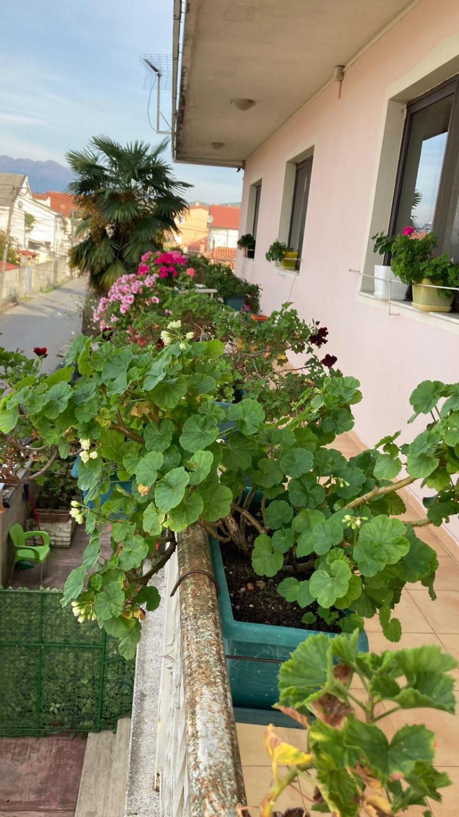 Blissful Hostel Shkodra Exterior foto