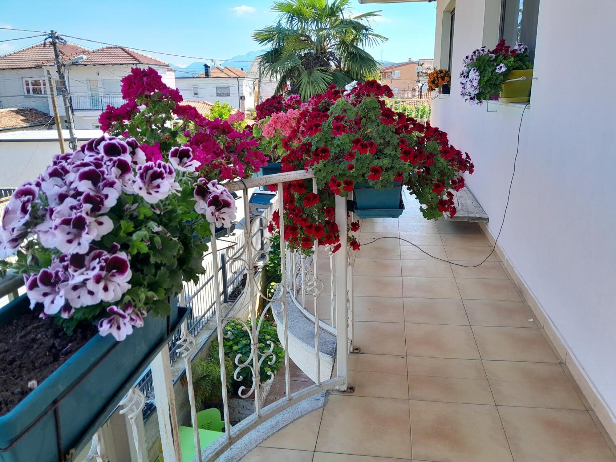Blissful Hostel Shkodra Exterior foto
